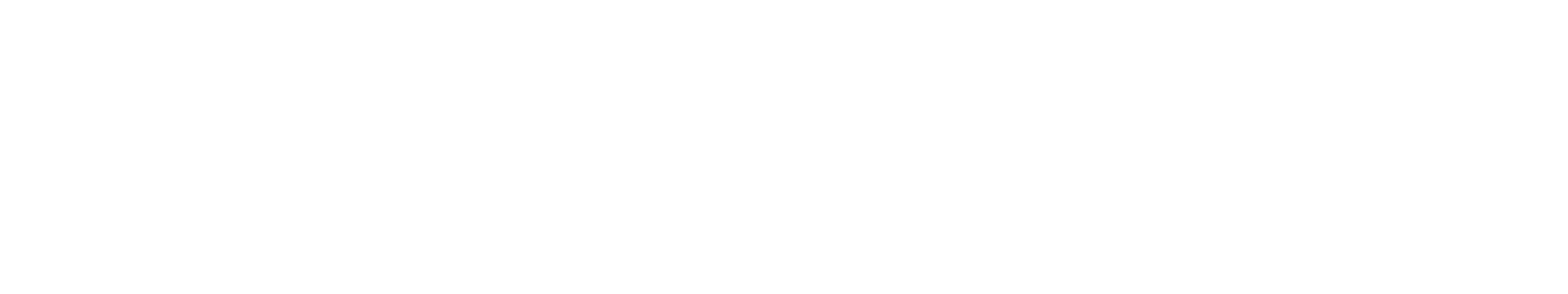 AmeriFunders Logo